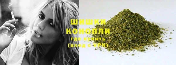 стаф Белокуриха