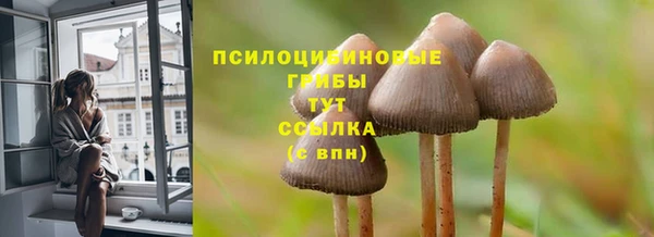 хмурый Баксан