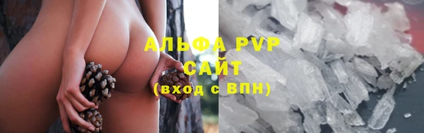 стаф Белокуриха