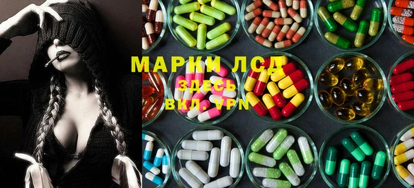 стаф Белокуриха