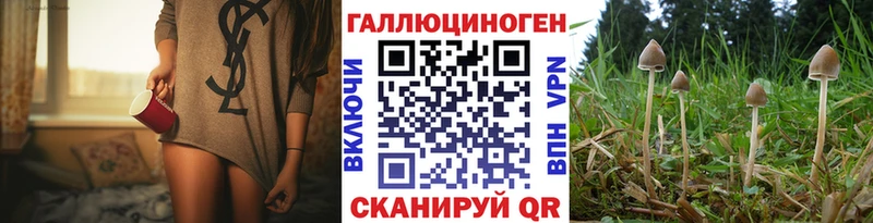 Псилоцибиновые грибы прущие грибы  Купить закладки  Великие Луки 